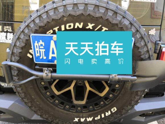 [合肥·皖A] 二手坦克坦克3002021款 越野版 2.0T 挑战者