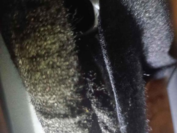 [佛山·粤E] 二手大众途岳2021款 280TSI 两驱风尚版