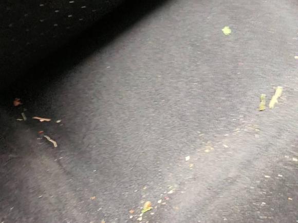 [嘉兴·浙F] 二手福特嘉年华2013款 两厢 1.5L 自动时尚型