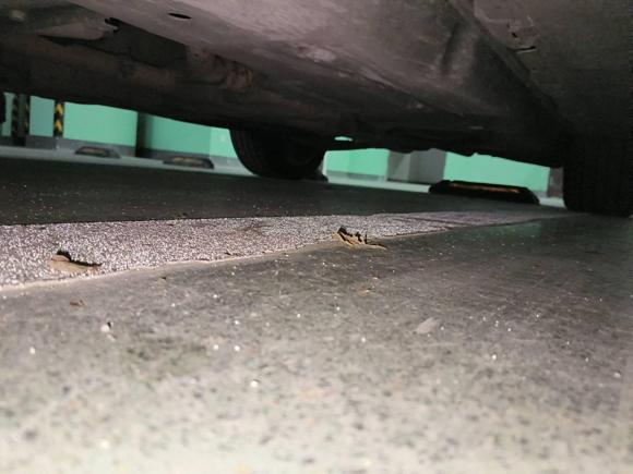 [温州·浙C] 二手奔驰奔驰M级2012款 ML 300