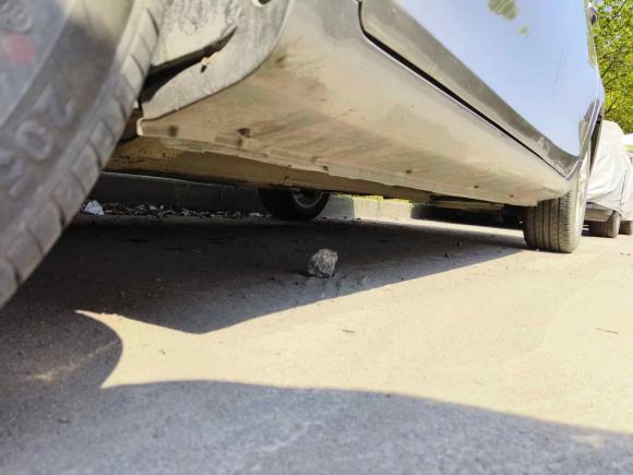 [上海·苏C] 二手吉利汽车帝豪2021款 UP 1.5L 手动豪华型