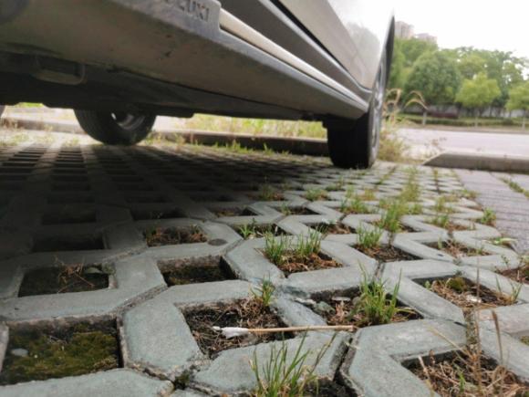 [南京·苏L] 二手铃木维特拉2016款 1.4T 自动两驱豪华型