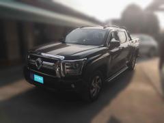 [杭州·浙A] 长城金刚炮2023款 2.0T自动汽油两驱精英型平箱GW4C20C