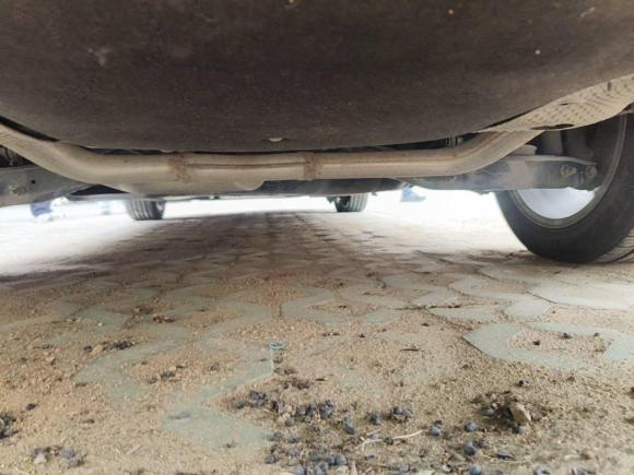 [青岛·鲁B] 二手大众迈腾2018款 380TSI DSG 豪华型