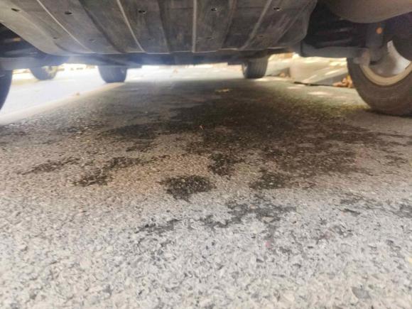 [武汉·鄂A] 二手本田缤智2015款 1.5L CVT两驱舒适型