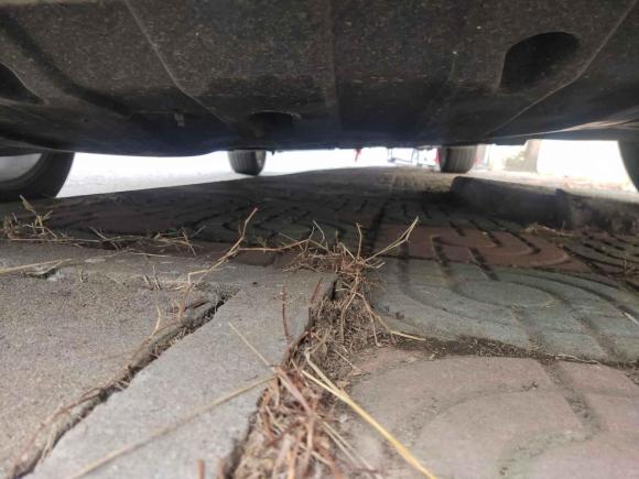 [上海·沪C] 二手起亚起亚K32016款 1.6L 自动GL