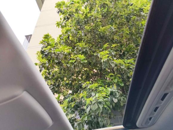 [南昌·赣A] 二手大众朗逸2015款 1.6L 自动舒适版