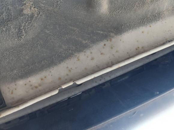 [嘉兴·皖D] 二手宝骏宝骏3102016款 1.2L 手动豪华型