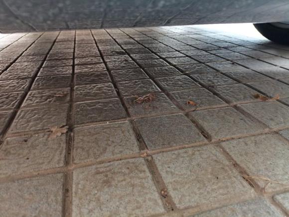 [南京·苏A] 二手极氪极氪0012021款 超长续航单电机 WE版