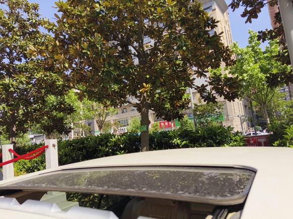 [南京·苏A] 二手斯柯达明锐2013款 1.4TSI DSG逸俊版