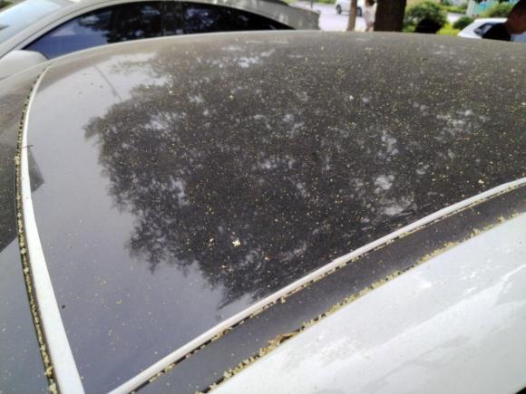 [西安·陕A] 二手比亚迪秦2019款 1.5L 自动豪华型