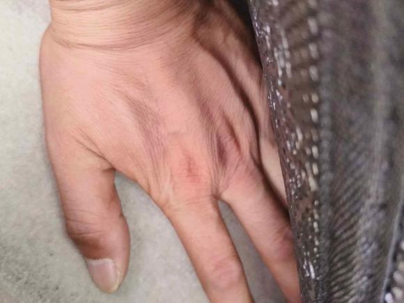 [义乌·浙G] 二手雷克萨斯雷克萨斯ES2006款 350 豪华版