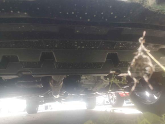 [温州·浙C] 二手北京北京BJ302021款 1.5T 狼小野版