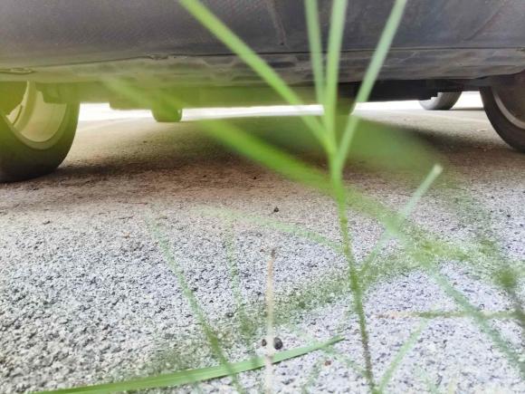 [上海·沪A] 二手欧拉欧拉好猫2021款 400km标准续航 雅典娜版 磷酸铁锂