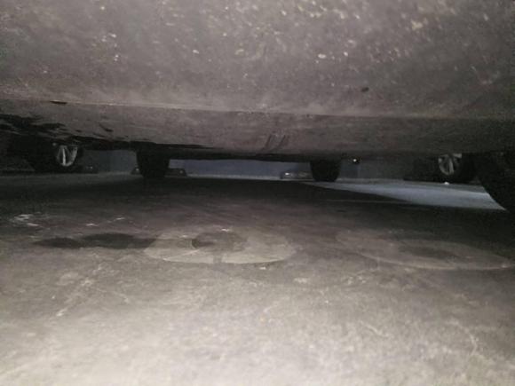 [上海·沪F] 二手大众Polo2019款 Plus 1.5L 自动炫彩科技版