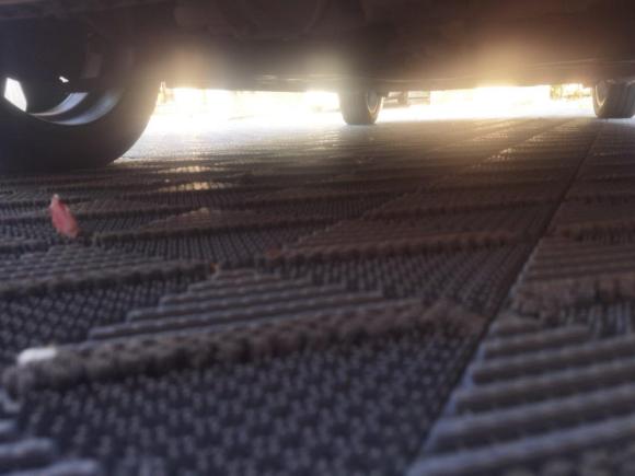 [金华·浙G] 二手欧拉欧拉R12019款 351km 亲子版