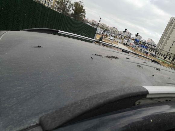 [上海·贵C] 二手宝骏宝骏7302016款 1.5T 手动标准型 7座