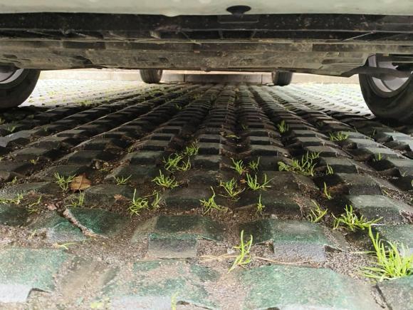 [苏州·苏E] 二手启辰启辰D602018款 1.6L 手动智联精英版