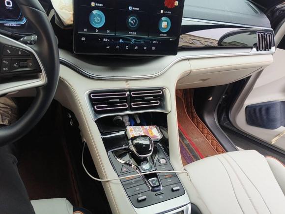 [嘉兴·浙F] 二手比亚迪宋PLUS新能源2021款 EV 尊贵型