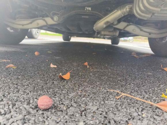 [杭州·浙A] 二手别克别克GL82023款 ES陆尊 舒适型