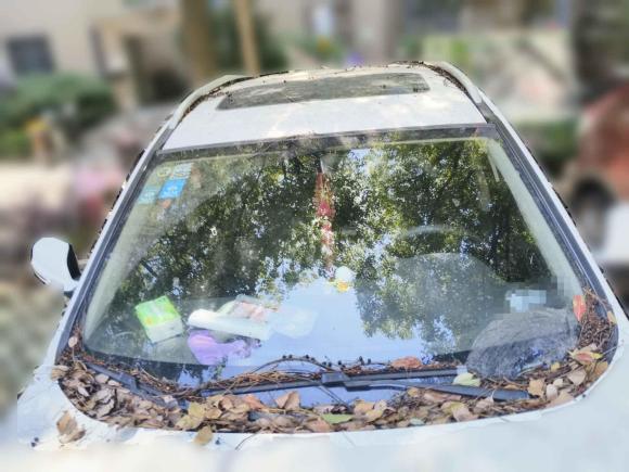 [嘉兴·皖H] 二手哈弗哈弗H22017款 红标 1.5T 手动两驱豪华型