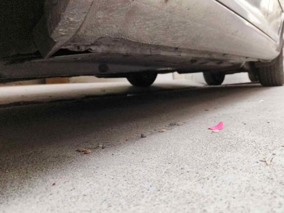 [佛山·粤X] 二手斯柯达明锐2010款 1.6L 自动逸俊版