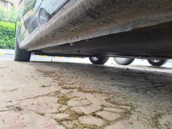 [南京·浙C] 二手红旗红旗H52020款 1.8T 自动智联旗韵版