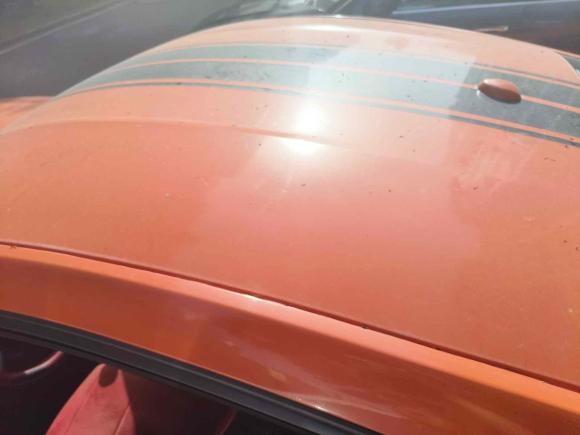 [武汉·鄂A] 二手福特Mustang2019款 2.3L EcoBoost