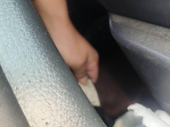 [无锡·苏B] 二手日产轩逸2019款 1.6XV CVT智联尊享版 国V