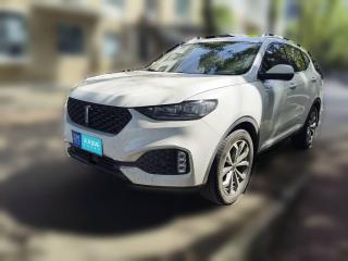 魏牌魏牌 VV62020款 2.0T 两驱智护+「武汉二手车」「天天拍车」