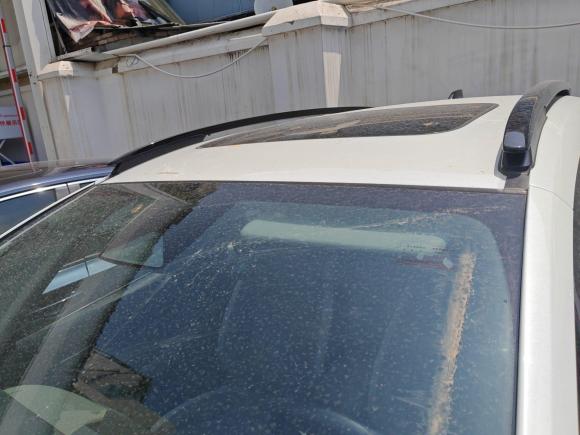 [武汉·鄂A] 二手本田LIFE2021款 1.5L CVT CRO-SS灵趣版