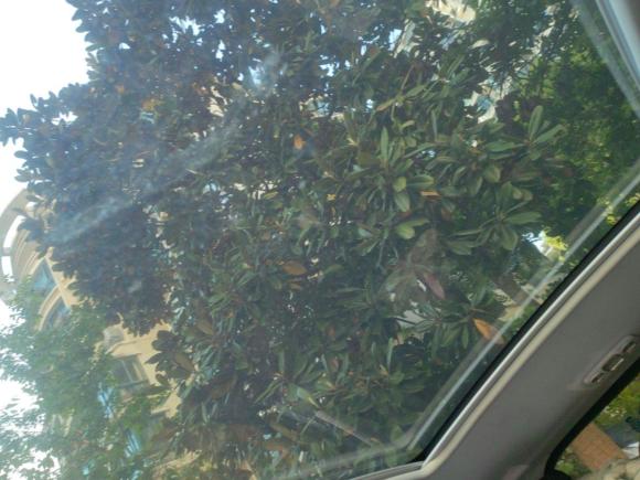 [上海·沪B] 二手标致标致308S2015款 1.6T 自动劲驰版