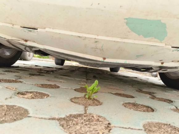 [北京·鲁G] 二手本田凌派2015款 1.8L 自动舒适版