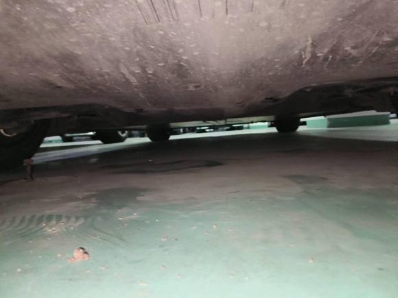 [上海·沪A] 二手特斯拉Model 32020款 标准续航后驱升级版