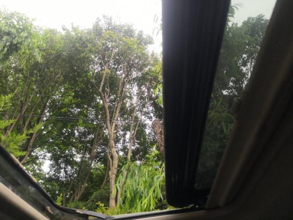 [上海·沪K] 二手别克别克GL82011款 2.4L CT豪华商务舒适版