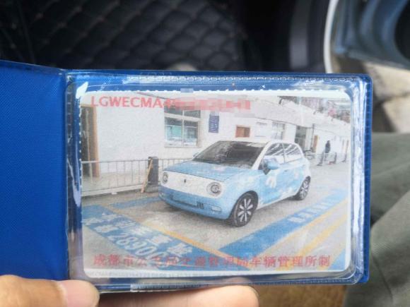 [成都·川A] 二手欧拉欧拉黑猫2019款 351km 亲子版