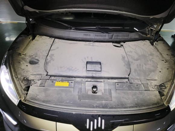 [温州·浙C] 二手威马汽车威马EX52020款 EX5-Z Fun动感版