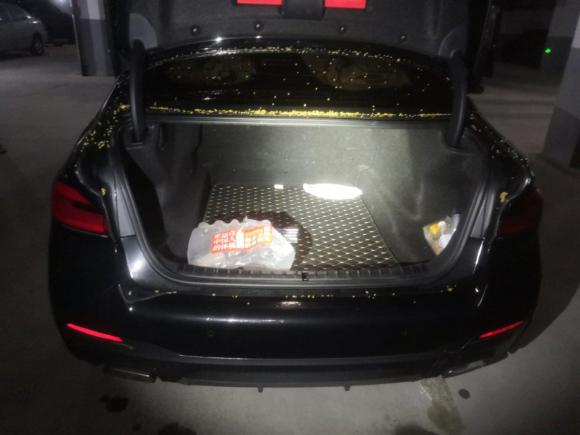 [上海·豫A] 二手宝马宝马5系2021款 530Li xDrive M运动套装