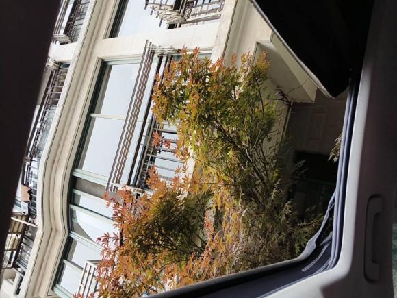 [上海·粤Y] 二手奥迪奥迪A6L2014款 35 FSI quattro 豪华型