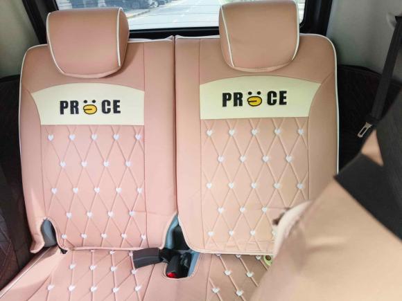 [合肥·皖A] 二手奇瑞新能源小蚂蚁2022款 甜粉款 半糖版 磷酸铁锂 30kW 301km