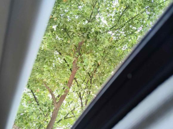 [杭州·贵J] 二手宝骏宝骏3102016款 1.2L 手动豪华型