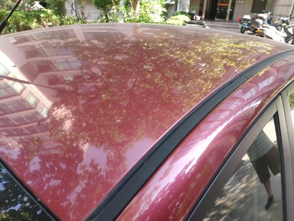 [济南·鲁J] 二手福特嘉年华2009款 两厢 1.5L 自动时尚型