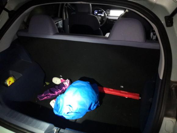 [成都·川A] 二手几何汽车几何E2022款 401KM 玲珑虎 4座