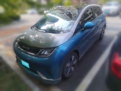 [金华·浙G] 比亚迪海豚2021款 401km 骑士版