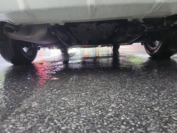 [上海·沪C] 二手日产轩逸2021款 1.6L XL CVT悦享版