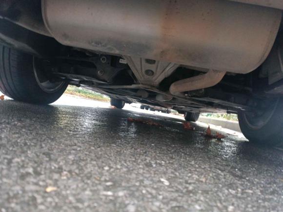 [苏州·闽J] 二手宝马宝马3系GT2016款 320i 时尚型