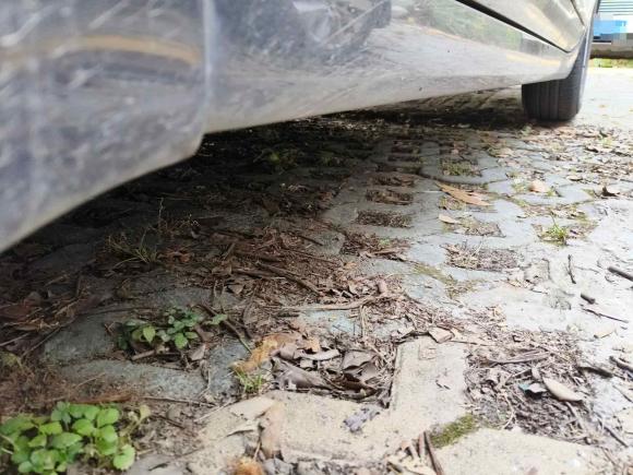 [武汉·鄂A] 二手日产天籁2011款 2.0L XL舒适版