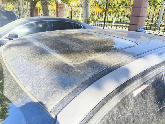 [济南·鲁A] 二手宝马宝马3系2019款 320i M运动曜夜版