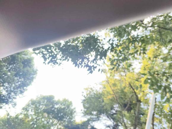 [上海·鲁N] 二手斯柯达明锐2013款 1.6L 自动逸俊版