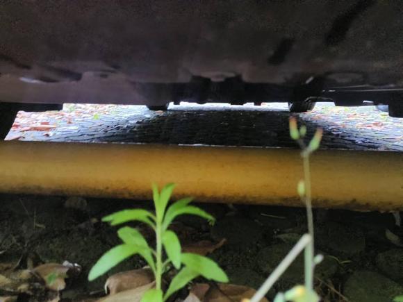 [上海·沪A] 二手MINIMINI2019款 1.5T COOPER 艺术家 五门版